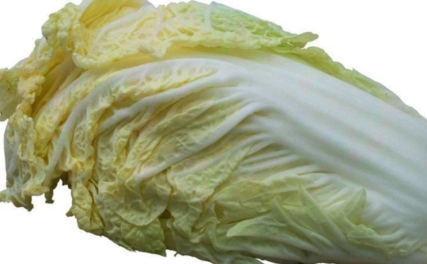白菜的營養(yǎng)價值有多高？白菜的營養(yǎng)搭配吃法有哪些？(1)
