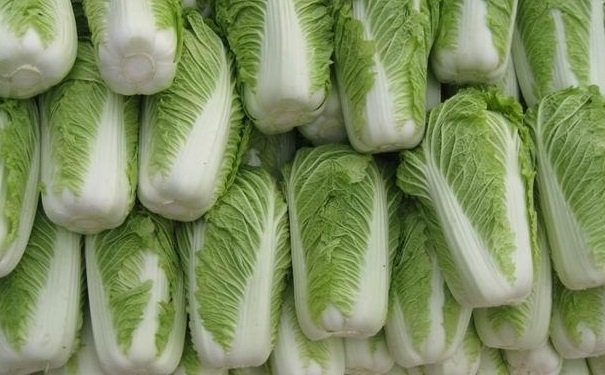 食物中的補(bǔ)鈣高手有哪些？常吃哪些食物補(bǔ)鈣效果好？(1)