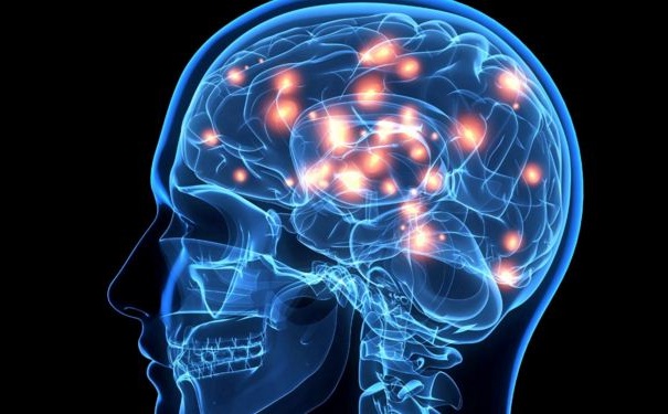 哪些習(xí)慣會危害大腦？吃什么能保護(hù)大腦？(1)