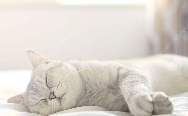 哪些睡眠姿勢是錯誤的？怎樣的睡眠姿勢更加健康？(2)