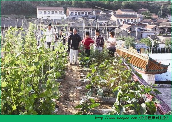 把父母接到城里好不好？把父母從農(nóng)村接到城里的故事(3)