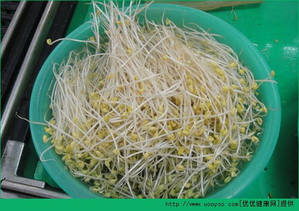 孕婦可以吃豆芽嗎？孕婦吃豆芽有好處嗎？(1)