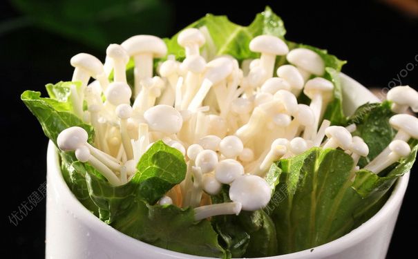 金針菇能放冰箱嗎？金針菇能放多久？(4)