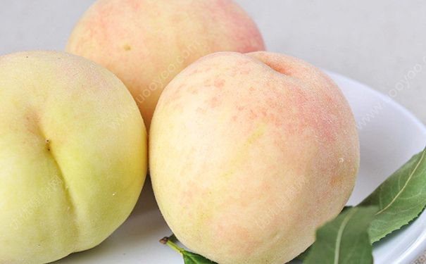 腎結(jié)石能吃水蜜桃嗎？腎結(jié)石吃水蜜桃好不好？(2)