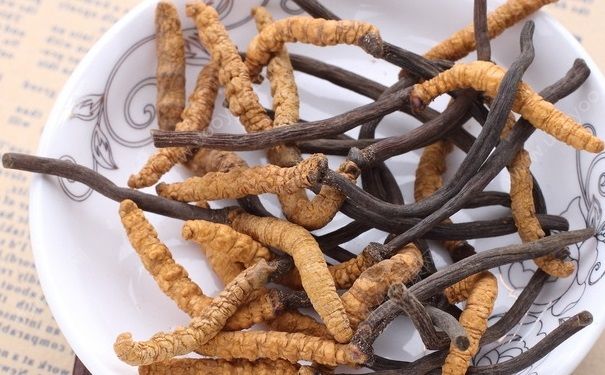 冬蟲夏草吃多久才有效果？冬蟲夏草要吃多久？(3)