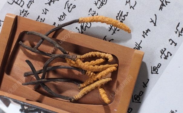 冬蟲夏草吃多久才有效果？冬蟲夏草要吃多久？(4)