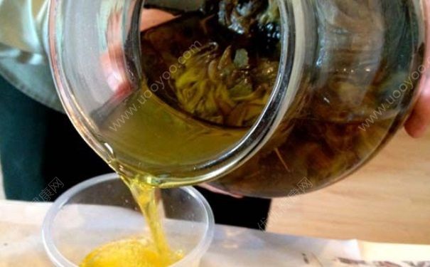 冬蟲夏草可以泡酒嗎？冬蟲夏草能泡酒嗎？(4)