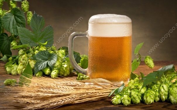 喝啤酒一直上廁所怎么辦？喝啤酒一直尿是腎虧嗎？(5)