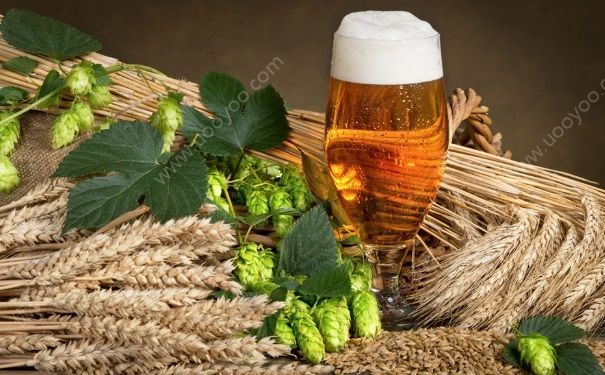 酒量能練出來嗎？怎么鍛煉酒量？(1)