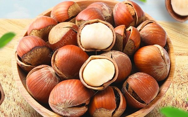 夏威夷果是榛子嗎？夏威夷果和榛子的區(qū)別(2)