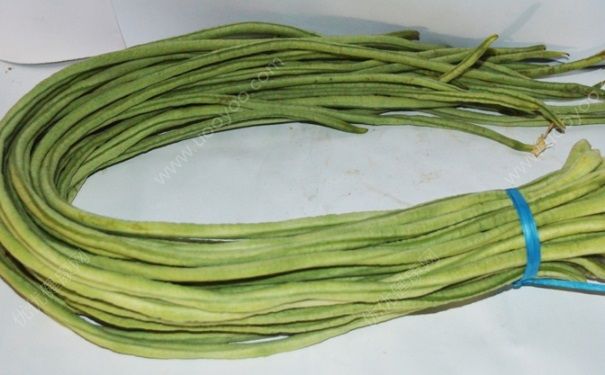 豆角酸了還能吃嗎？豆角發(fā)酸可以吃嗎？(4)