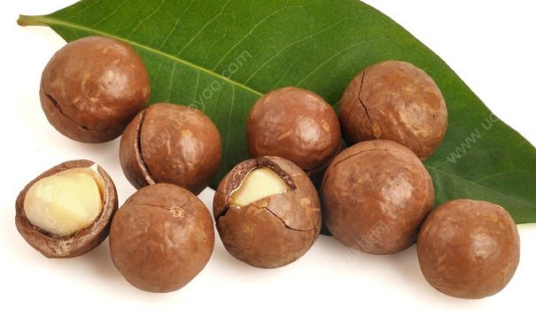 夏威夷果打不開怎么辦？夏威夷果怎么打開吃？(1)
