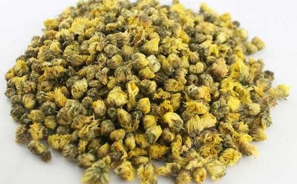 胎菊和貢菊那個(gè)好？胎菊和貢菊有什么區(qū)別？(1)