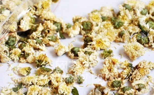 胎菊和貢菊那個(gè)好？胎菊和貢菊有什么區(qū)別？(2)