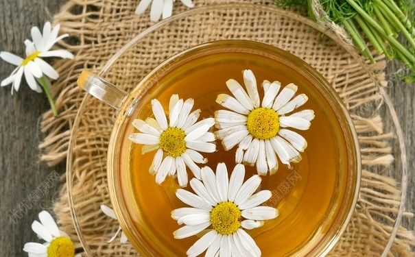 喝菊花茶拉肚子怎么回事？喝菊花茶拉肚子是什么原因？(1)