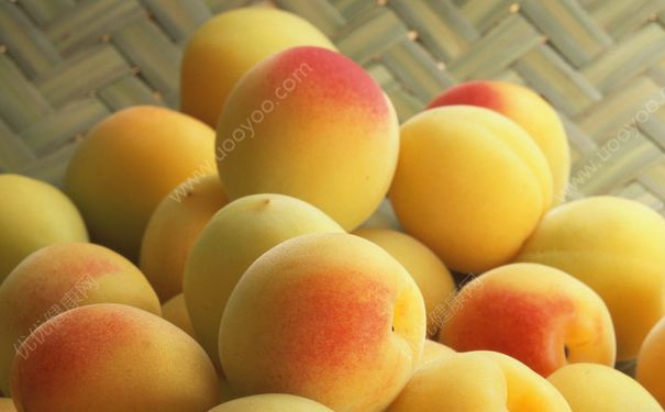 杏子是什么味道？杏子好吃嗎？(1)