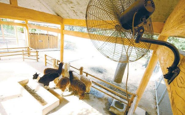 天氣太熱沒有空調(diào)怎么辦？沒有空調(diào)怎么降暑最好?(2)