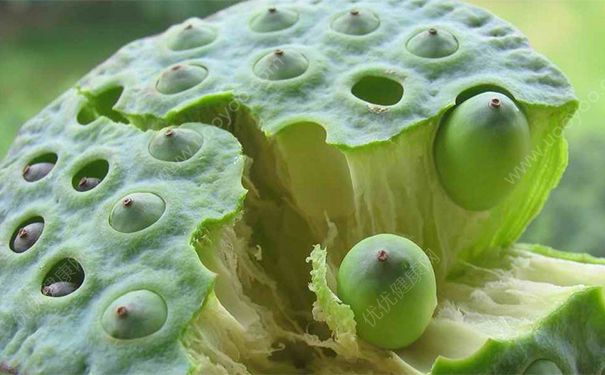 立秋吃什么好？立秋吃什么養(yǎng)生？(4)
