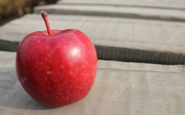 糖尿病能吃蛇果嗎？糖尿病吃蛇果好嗎？(3)