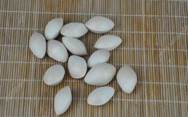 開心果是白果嗎？開心果是銀杏果嗎？(3)