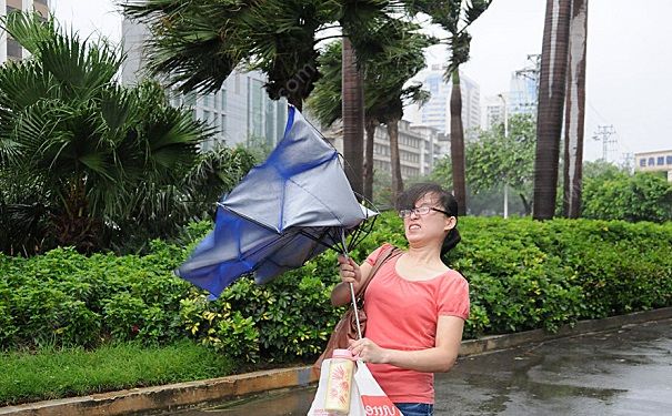 刮臺風能出門嗎？刮臺風時出門有什么危險？(3)