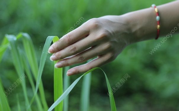 手上長(zhǎng)小疙瘩是怎么回事？手上長(zhǎng)小疙瘩是為什么？(3)