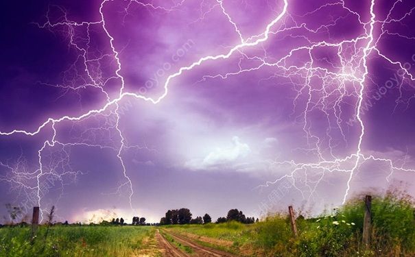 打雷可以撐傘嗎？打雷下雨能不能打傘？(1)