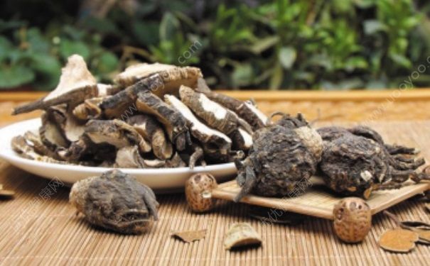 瑪卡黑枸杞能一起泡嗎？黑枸杞和瑪卡能泡水喝嗎？(1)