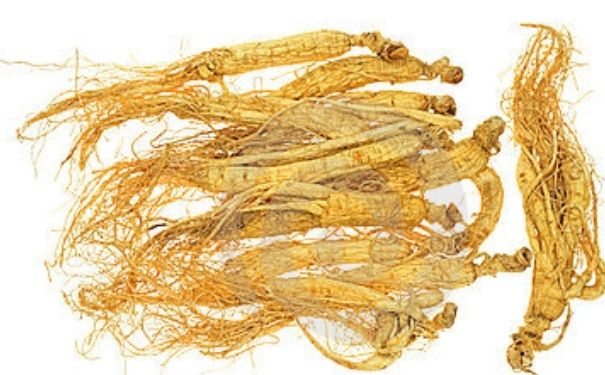 人參能生吃嗎？人參能天天吃嗎？(2)