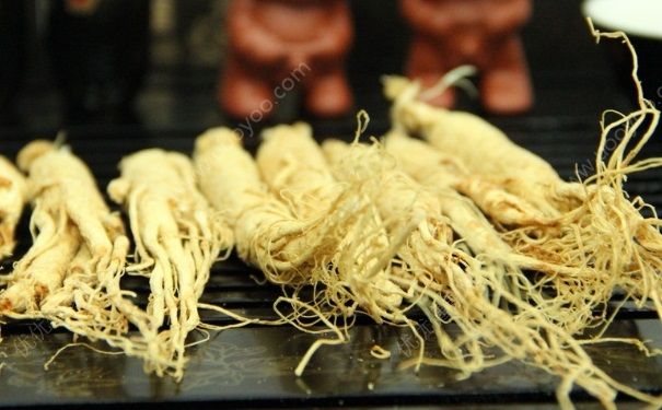 人參能放多久？人參能放冰箱嗎？(4)