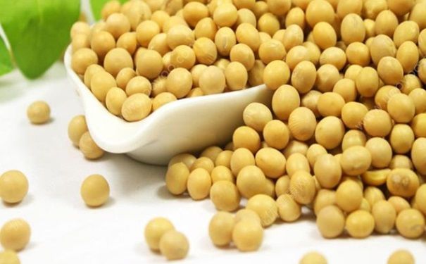 膽囊炎能喝豆奶嗎？膽囊炎可以喝豆奶嗎？(3)