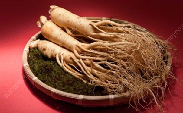 人參有什么功效？人參有什么功效和作用？(3)