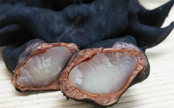 菱角是發(fā)物嗎？菱角是不是發(fā)物？(4)