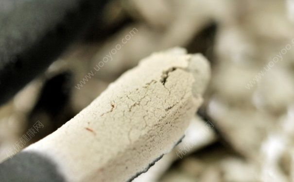 空調(diào)房里可以點(diǎn)蚊香嗎？空調(diào)房里有蚊子怎么辦？(5)