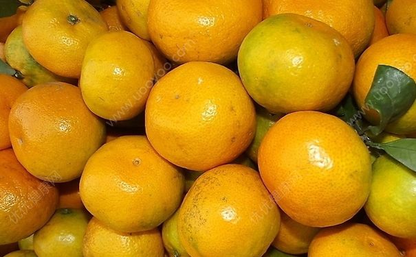 橘子吃多了上火怎么辦？吃橘子上火該怎么辦？(1)