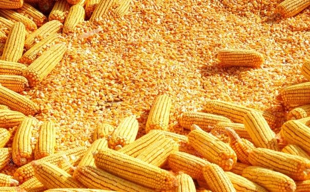 便秘是什么原因引起的？經(jīng)常便秘該怎么辦？(6)