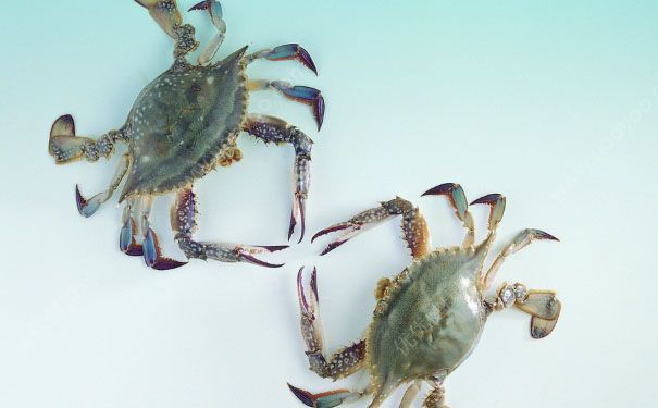 海蟹死了可以吃嗎？海蟹怎么保存？(4)