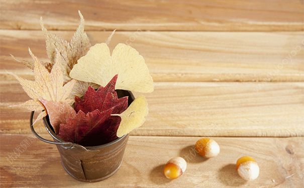 中醫(yī)的腎指什么？腎虧吃什么食物可以補(bǔ)？(1)