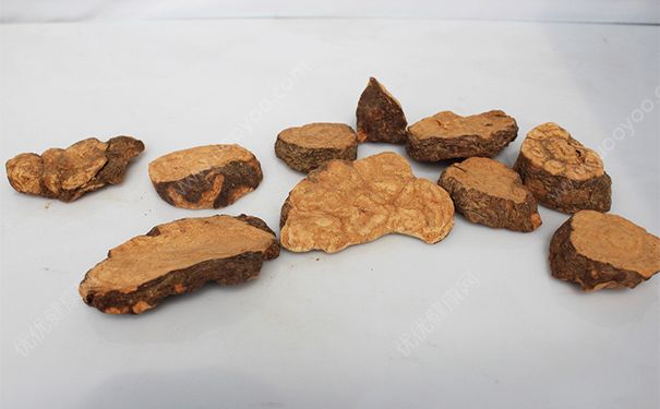 何首烏能不能治療脫發(fā)？何首烏怎么吃最好？(1)