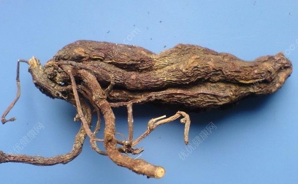 何首烏有毒嗎？何首烏有什么副作用？(1)