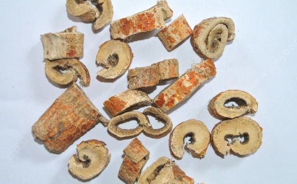 桑白皮有什么作用？桑白皮有什么功效？(1)
