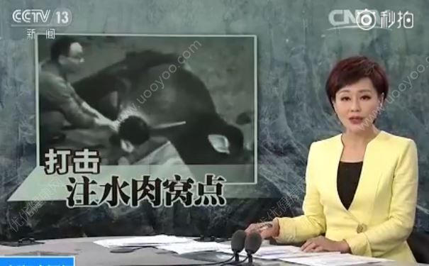 非法屠宰場牛肉瘋狂注水，注水牛肉吃了有什么危害？(1)