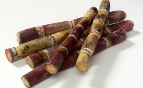 吃霉變的甘蔗會(huì)中毒嗎？多吃甘蔗會(huì)上火嗎？(1)