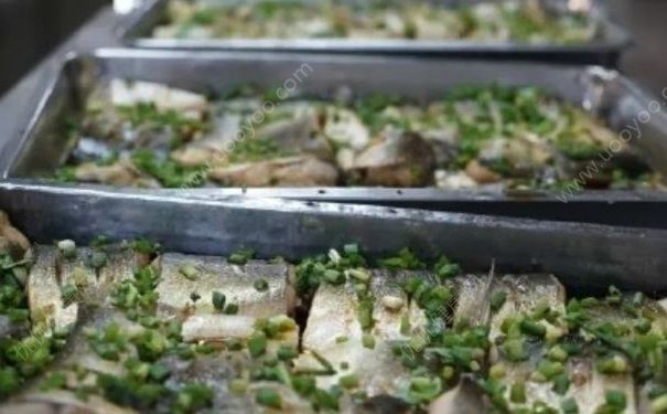 學(xué)校3000斤魚免費吃，吃魚對身體有什么好處？(3)