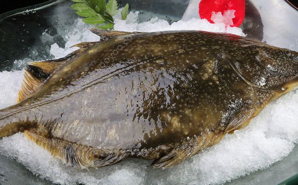 女生怎么吃出豐滿雙峰？哪些食物營養(yǎng)能讓胸部豐滿？(1)