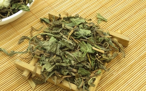 蒲公英有什么功效和作用？蒲公英的食用方法是什么？(1)