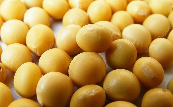 乳房發(fā)育需要哪些營(yíng)養(yǎng)元素？哪些食物富含胸部所需營(yíng)養(yǎng)？(1)