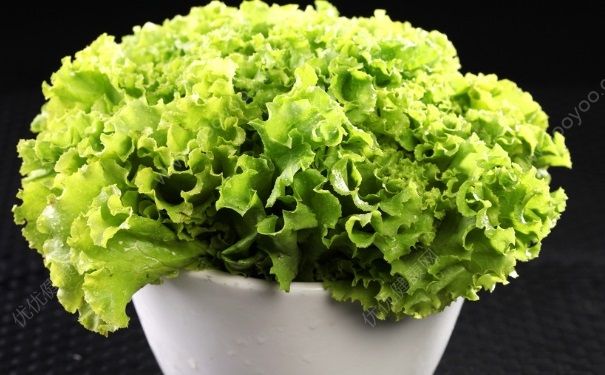 秋分養(yǎng)生應(yīng)該吃什么蔬菜？秋分養(yǎng)生吃什么水果好？(1)