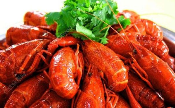 龍蝦吃哪個部位？龍蝦能吃蝦頭嗎？(1)