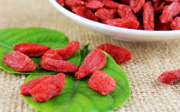 枸杞子一天吃多少才是好的？哪些人可以吃枸杞？(1)